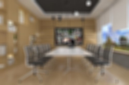 专业会议制定服务